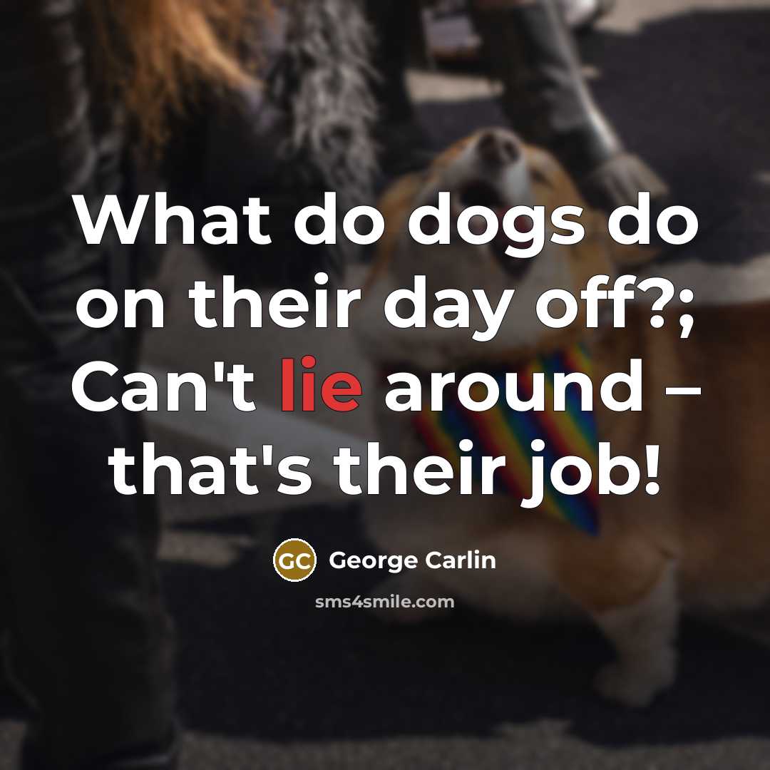 “What do dogs do on their day off?; Can't lie…” quote by George Carlin
