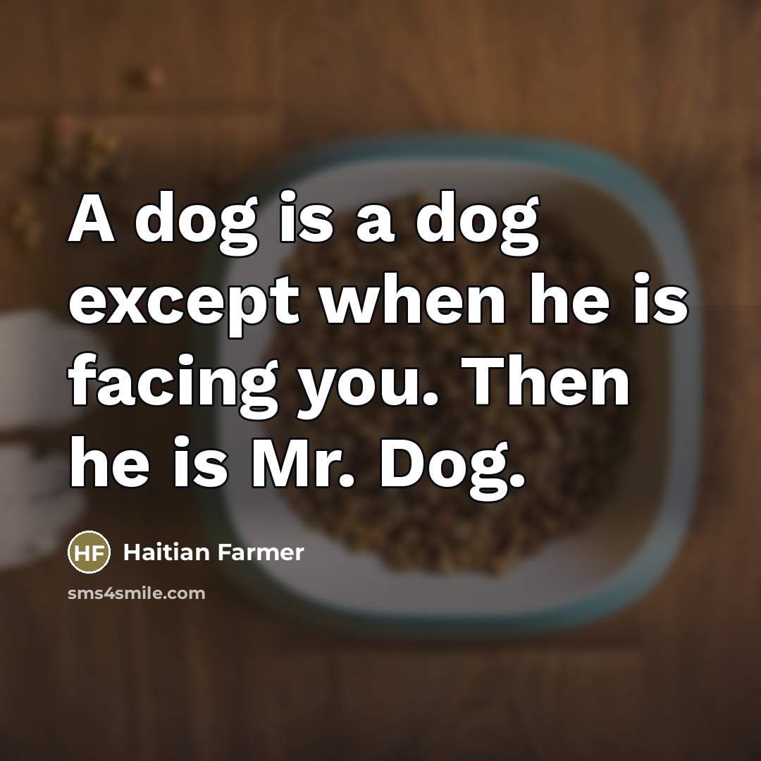 “A dog is a dog except when he is facing you. Then he is Mr. Dog.” quote by Haitian Farmer