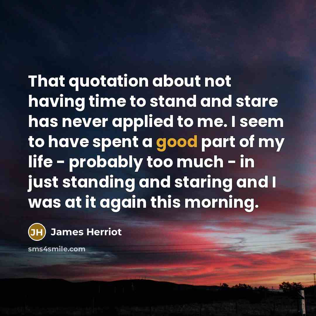 “That quotation about not having time to stand and stare…” quote by James Herriot