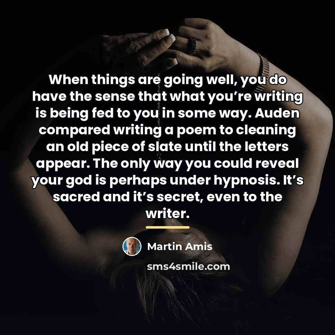 “When things are going well, you do have the sense…” quote by Martin Amis
