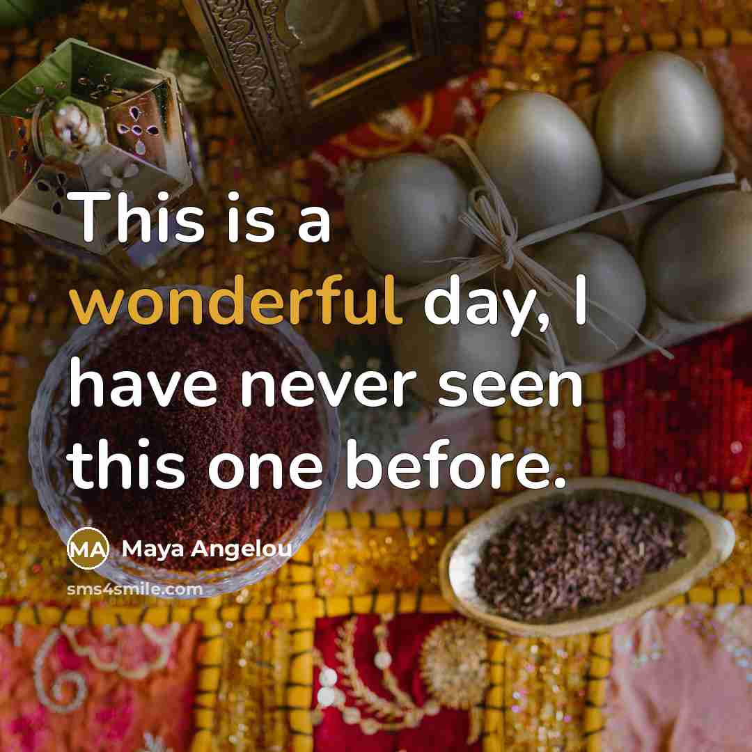 “This is a wonderful day, I have never seen this…” quote by Maya Angelou