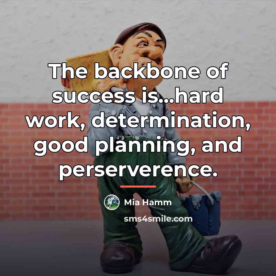 “The backbone of success is...hard work, determination, good planning, and…” quote by Mia Hamm
