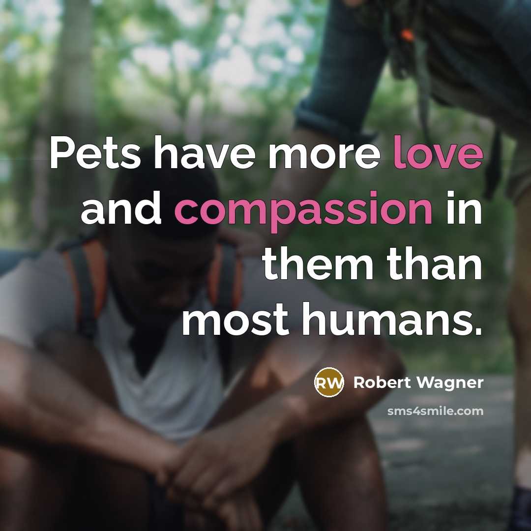 “Pets have more love and compassion in them than most humans.” quote by Robert Wagner