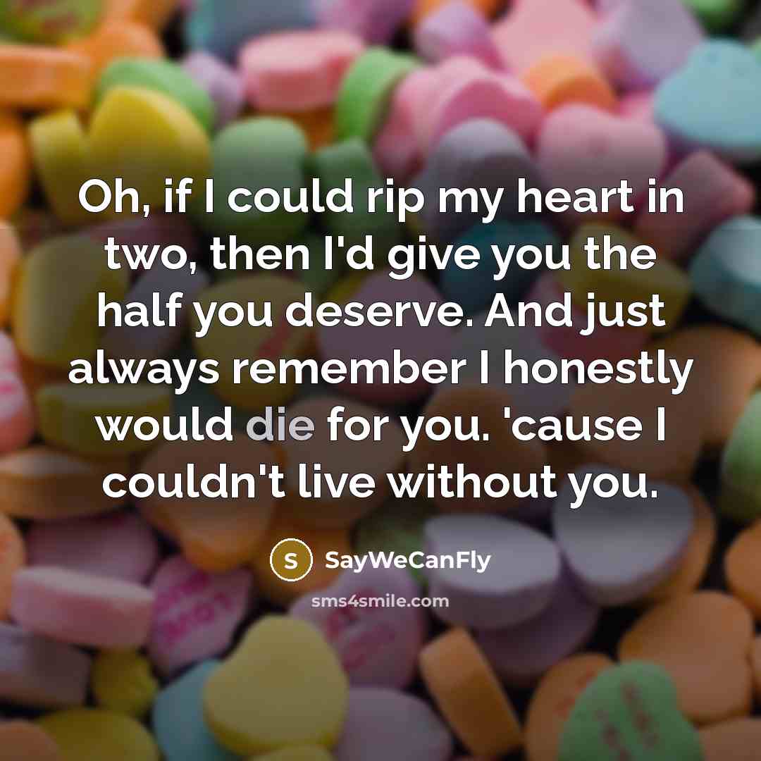 “Oh, if I could rip my heart in two, then…” quote by SayWeCanFly