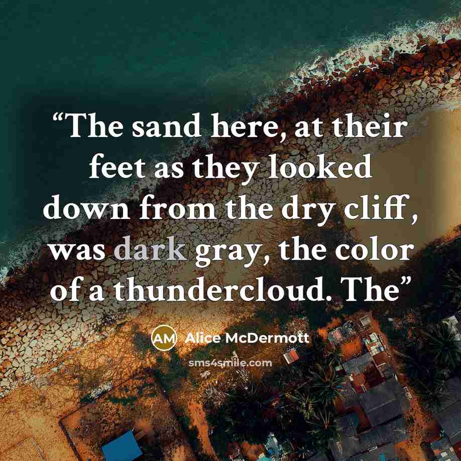 “The sand here, at their feet as they looked down from the dry cliff, was dark gray, the color of a thundercloud. The” quote by Alice McDermott