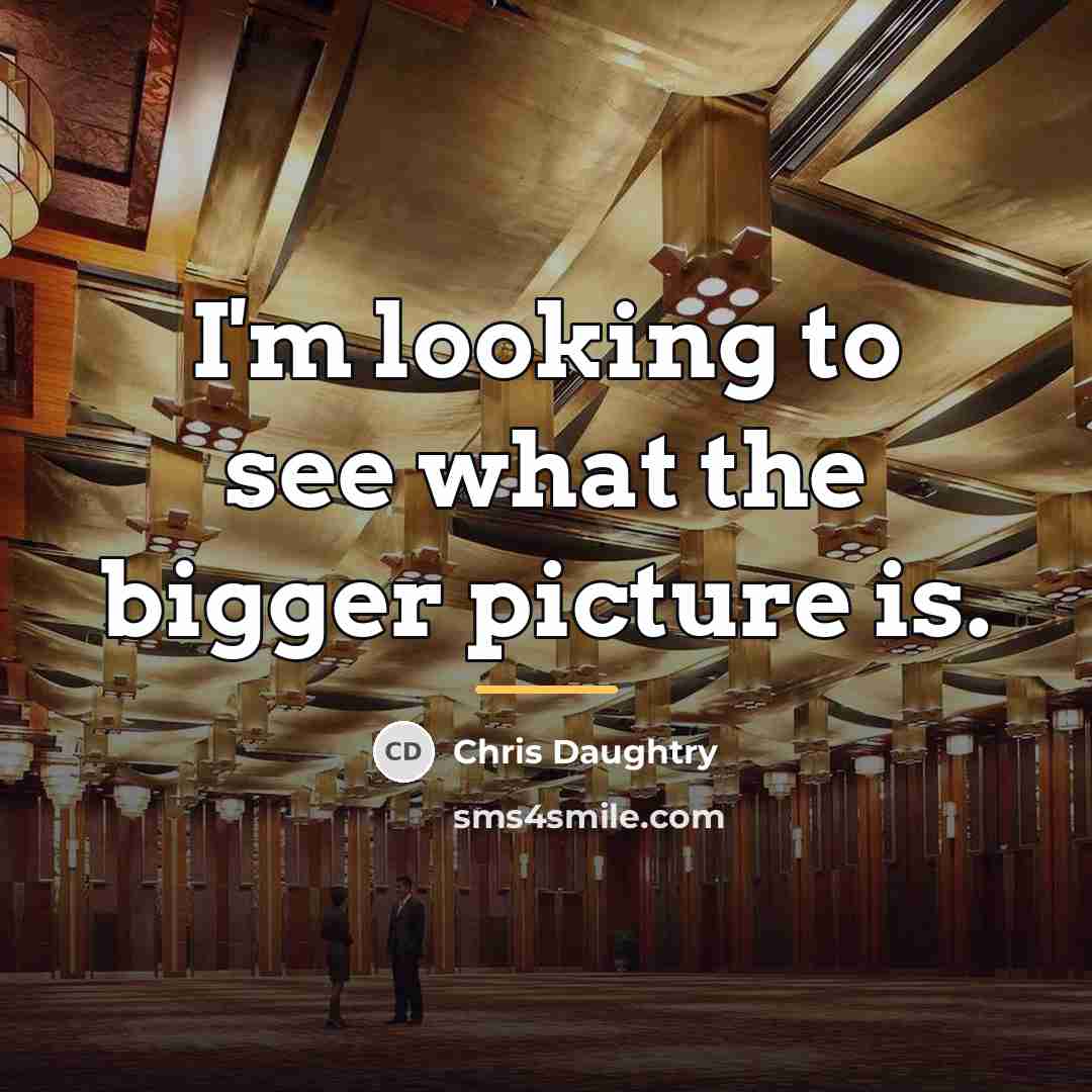 “I'm looking to see what the bigger picture is.…” quote by Chris Daughtry