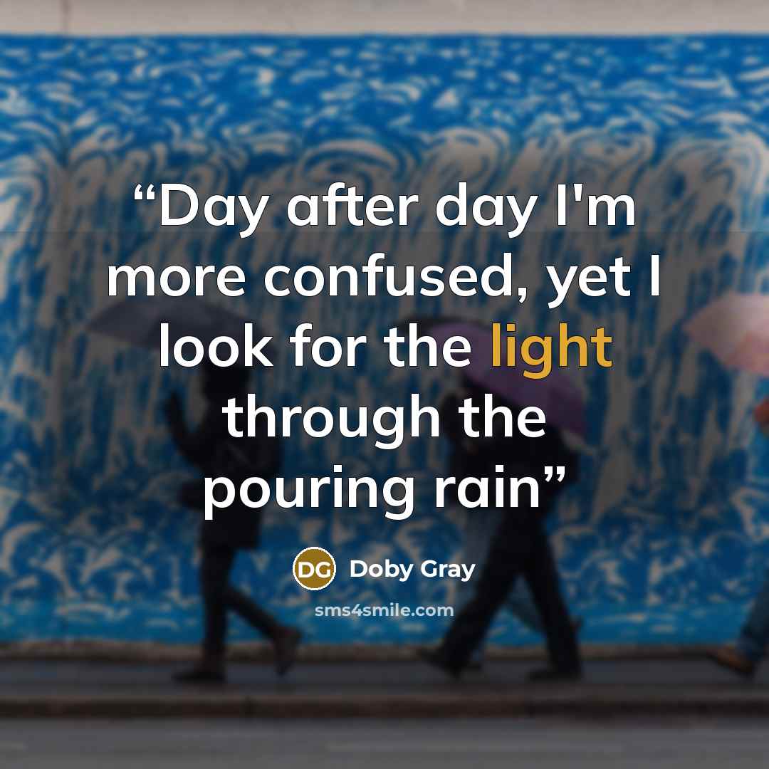 “Day after day I'm more confused, yet I look for the light through the pouring rain” quote by Doby Gray