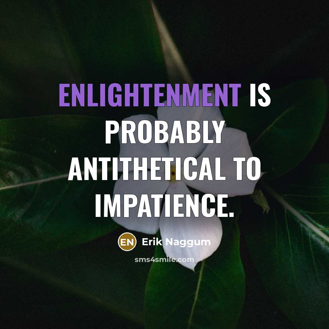 “Enlightenment is probably antithetical to impatience.…” quote by Erik Naggum