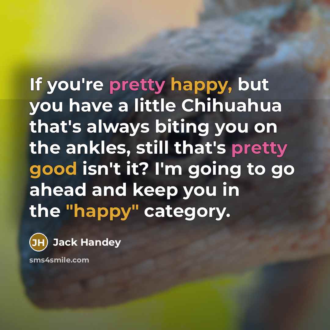 “If you're pretty happy, but you have a little Chihuahua that's always biting you on the ankles, still that's pretty good isn't it? I'm going to go ahead and keep you in the "happy" category.” quote by Jack Handey