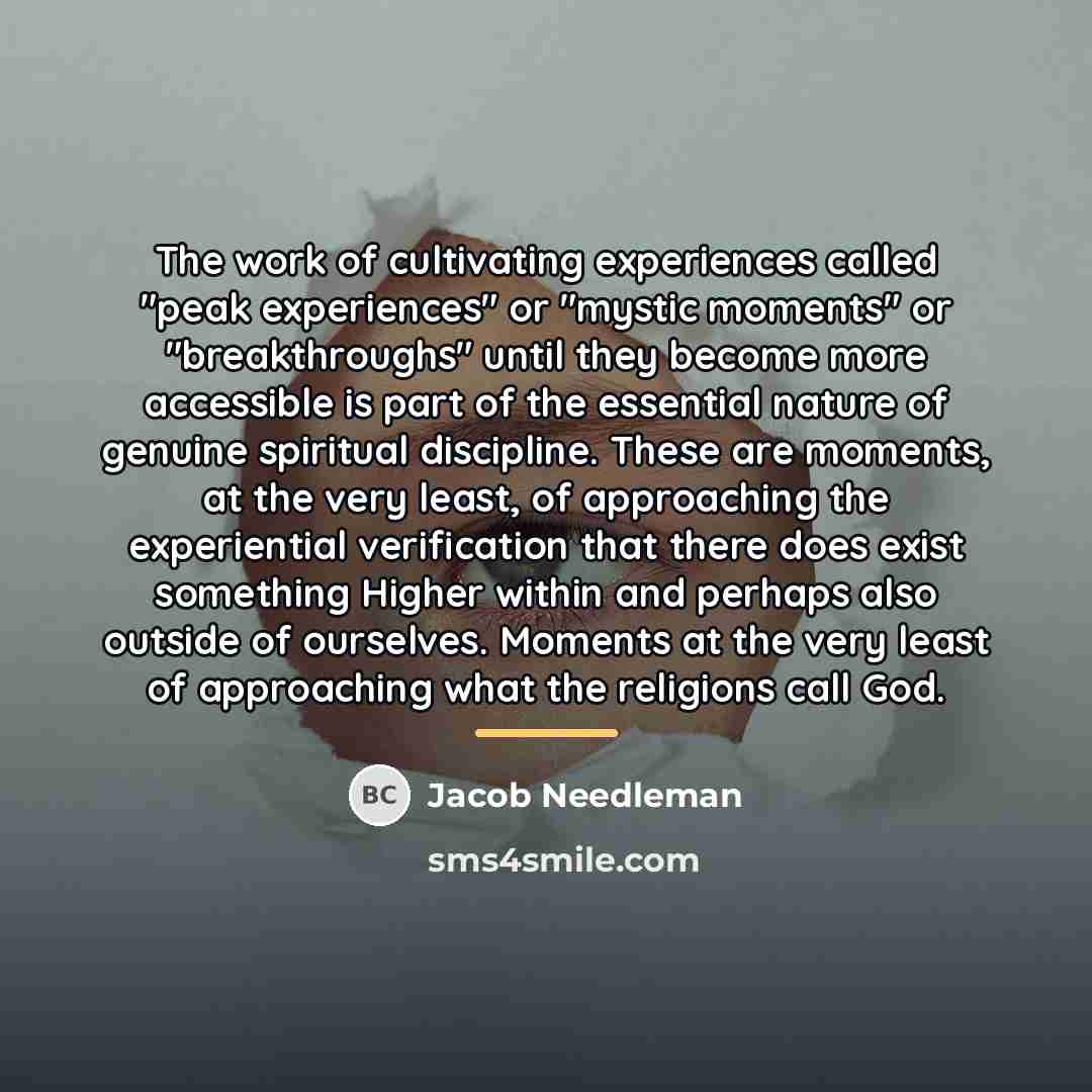 “The work of cultivating experiences called "peak experiences" or "mystic…” quote by Jacob Needleman