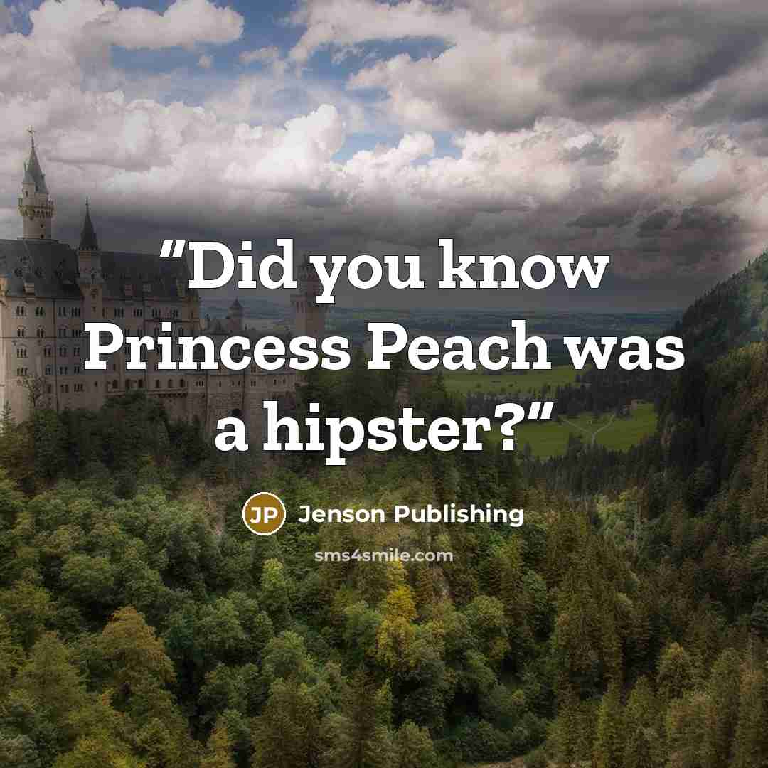 “Did you know Princess Peach was a hipster?” quote by Jenson Publishing