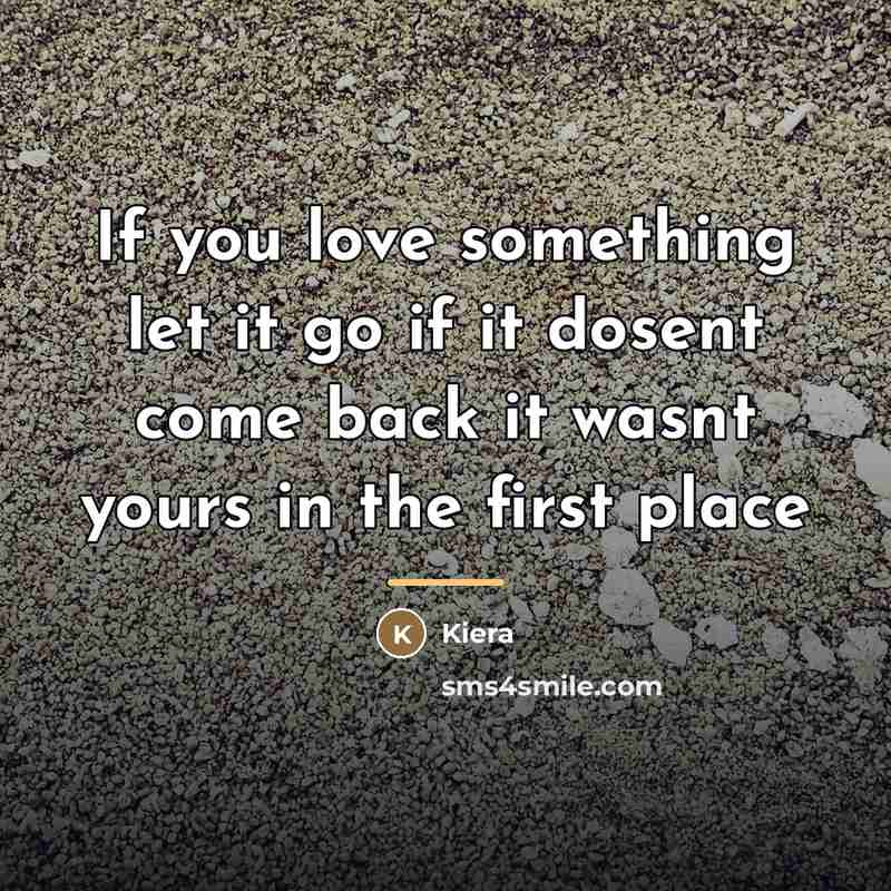 “If you love something let it go if it dosent…” quote by Kiera