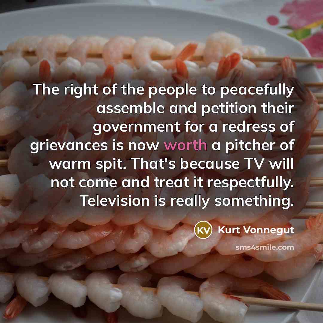 “The right of the people to peacefully assemble and petition…” quote by Kurt Vonnegut