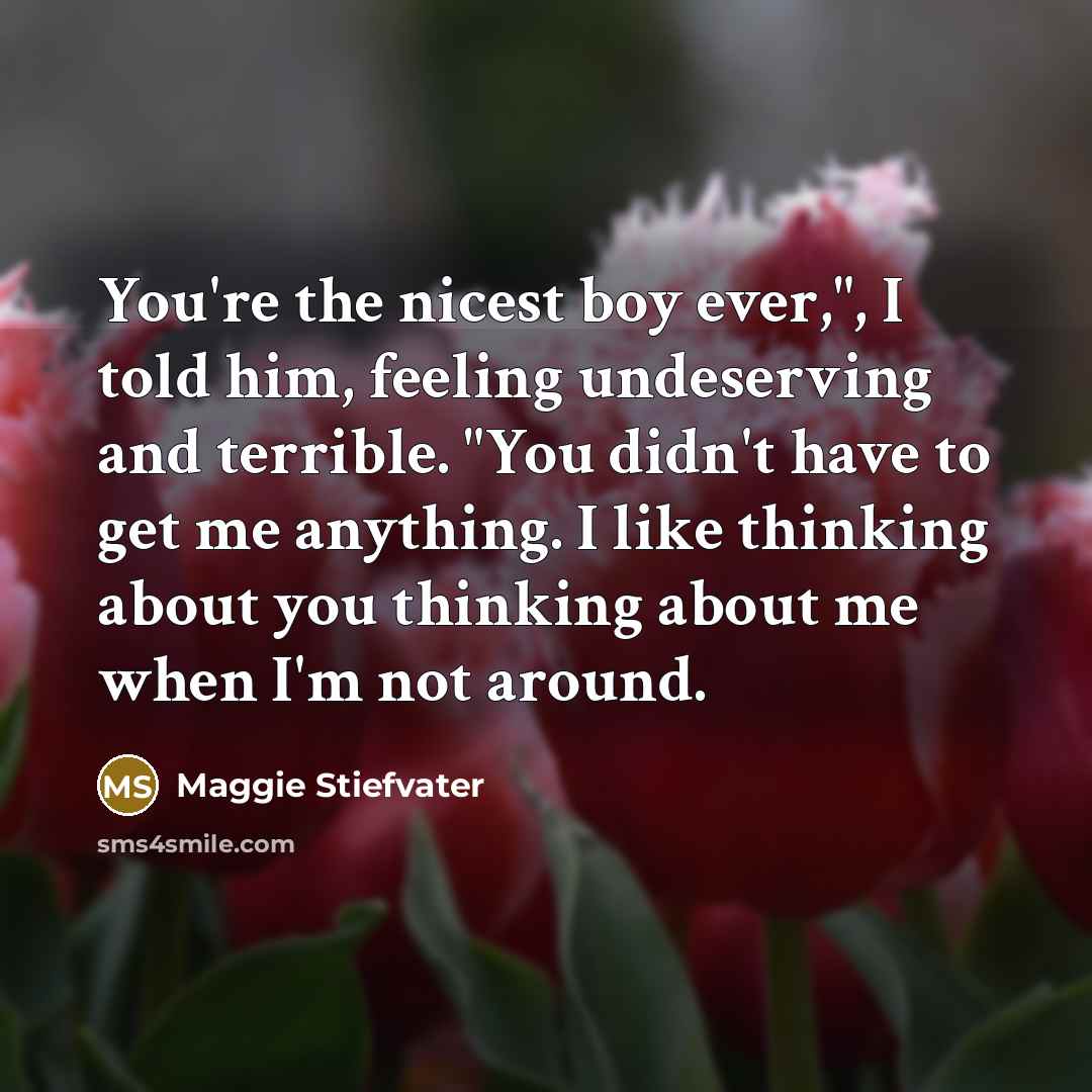 “You're the nicest boy ever,", I told him, feeling undeserving…” quote by Maggie Stiefvater