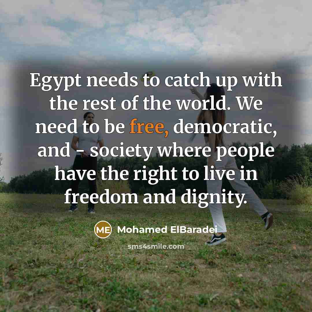 “Egypt needs to catch up with the rest of the…” quote by Mohamed ElBaradei