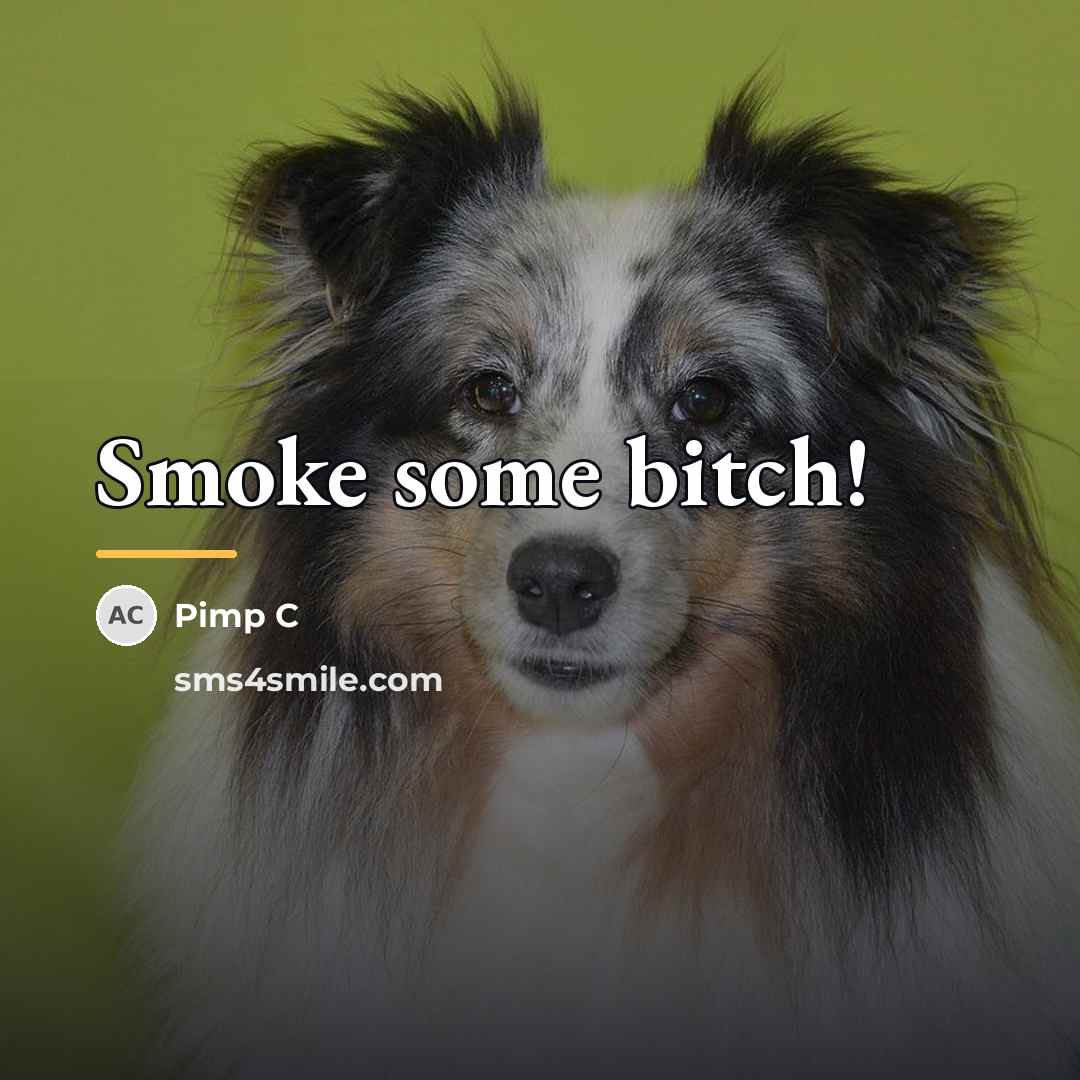 “Smoke some bitch!…” quote by Pimp C