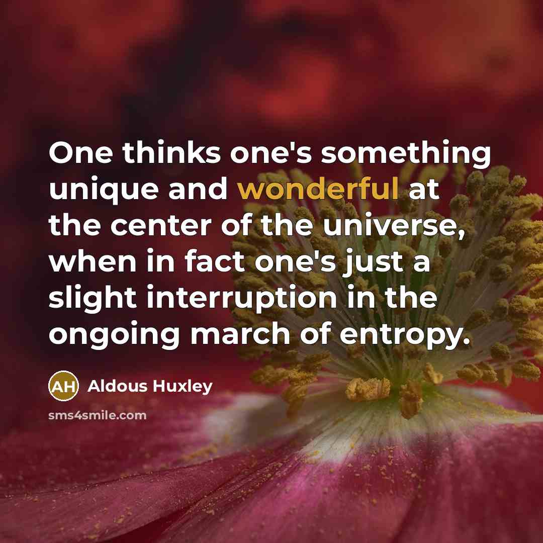 “One thinks one's something unique and wonderful at the center…” quote by Aldous Huxley