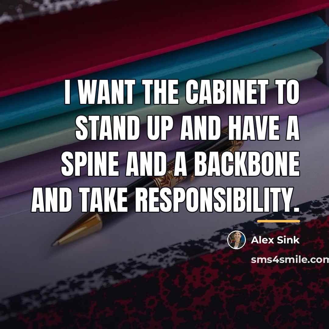 “I want the cabinet to stand up and have a…” quote by Alex Sink