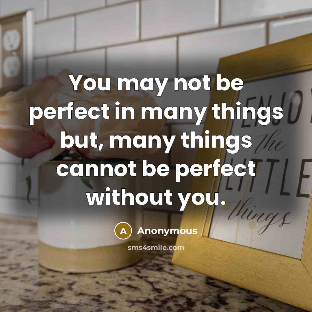 “You may not be perfect in many things but, many…” quote by Anonymous