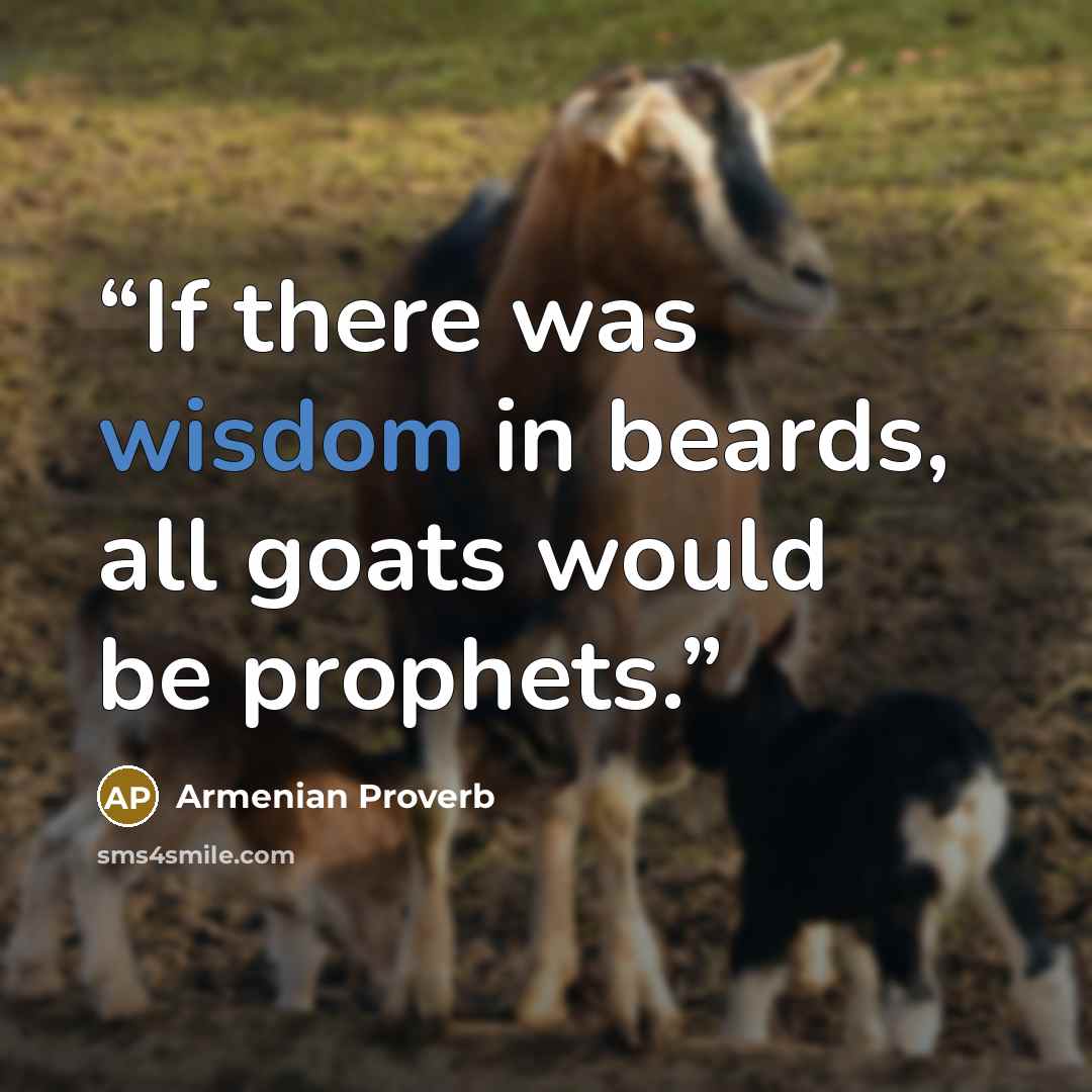 “If there was wisdom in beards, all goats would be prophets.” quote by Armenian Proverb