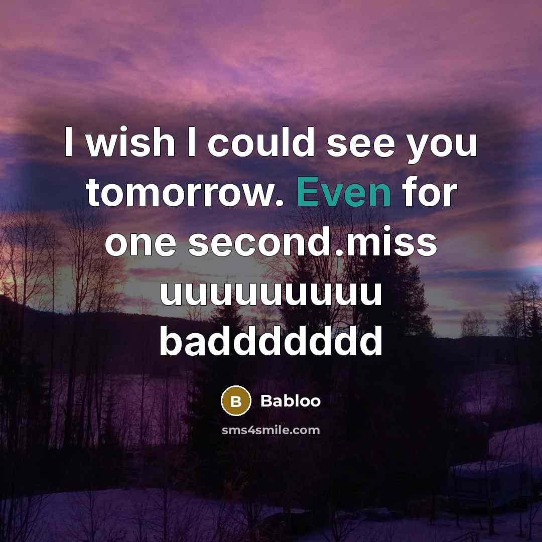 “I wish I could see you tomorrow. Even for one second.miss uuuuuuuuu baddddddd” quote by Babloo