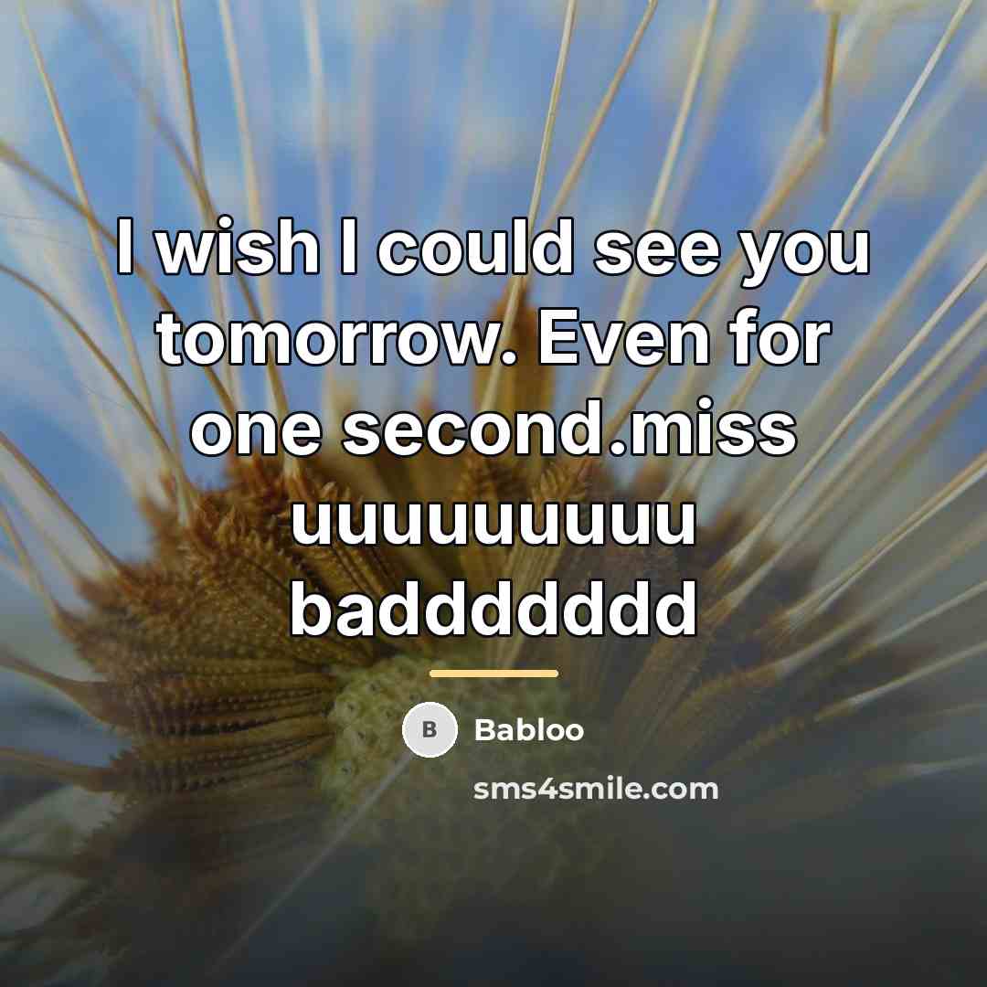 “I wish I could see you tomorrow. Even for one…” quote by Babloo