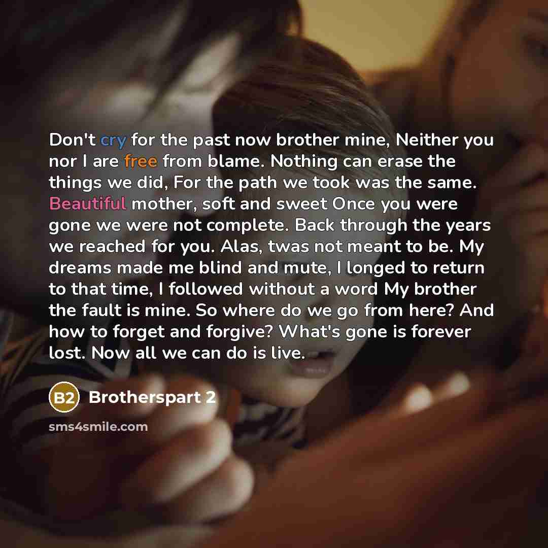 “Don't cry for the past now brother mine, Neither you nor I are free from blame. Nothing can erase the things we did, For the path we took was the same. Beautiful mother, soft and sweet Once you were gone we were not complete. Back through the years we reached for you. Alas, twas not meant to be…” quote by Brotherspart 2