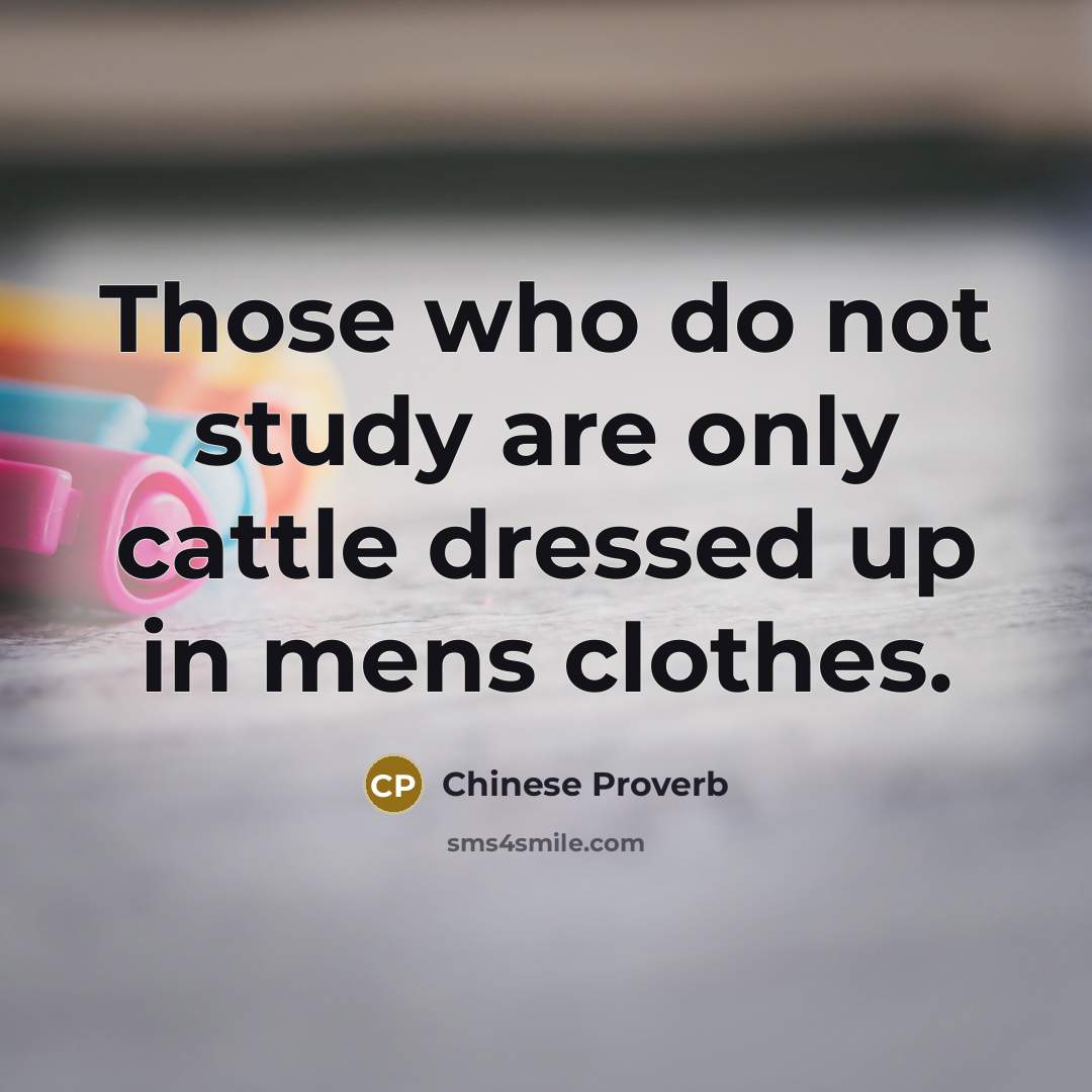 “Those who do not study are only cattle dressed up in mens clothes.” quote by Chinese Proverb