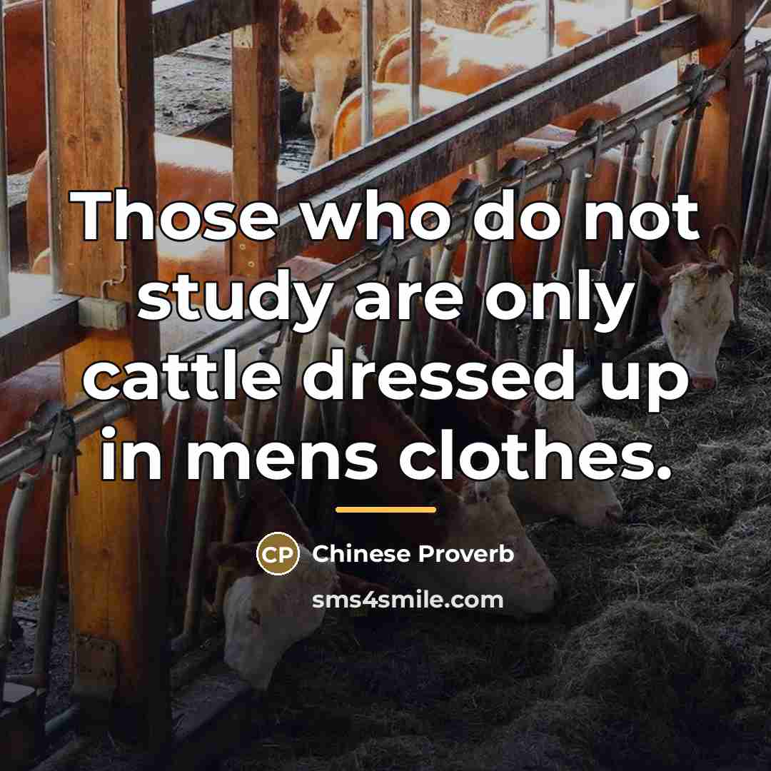 “Those who do not study are only cattle dressed up…” quote by Chinese Proverb