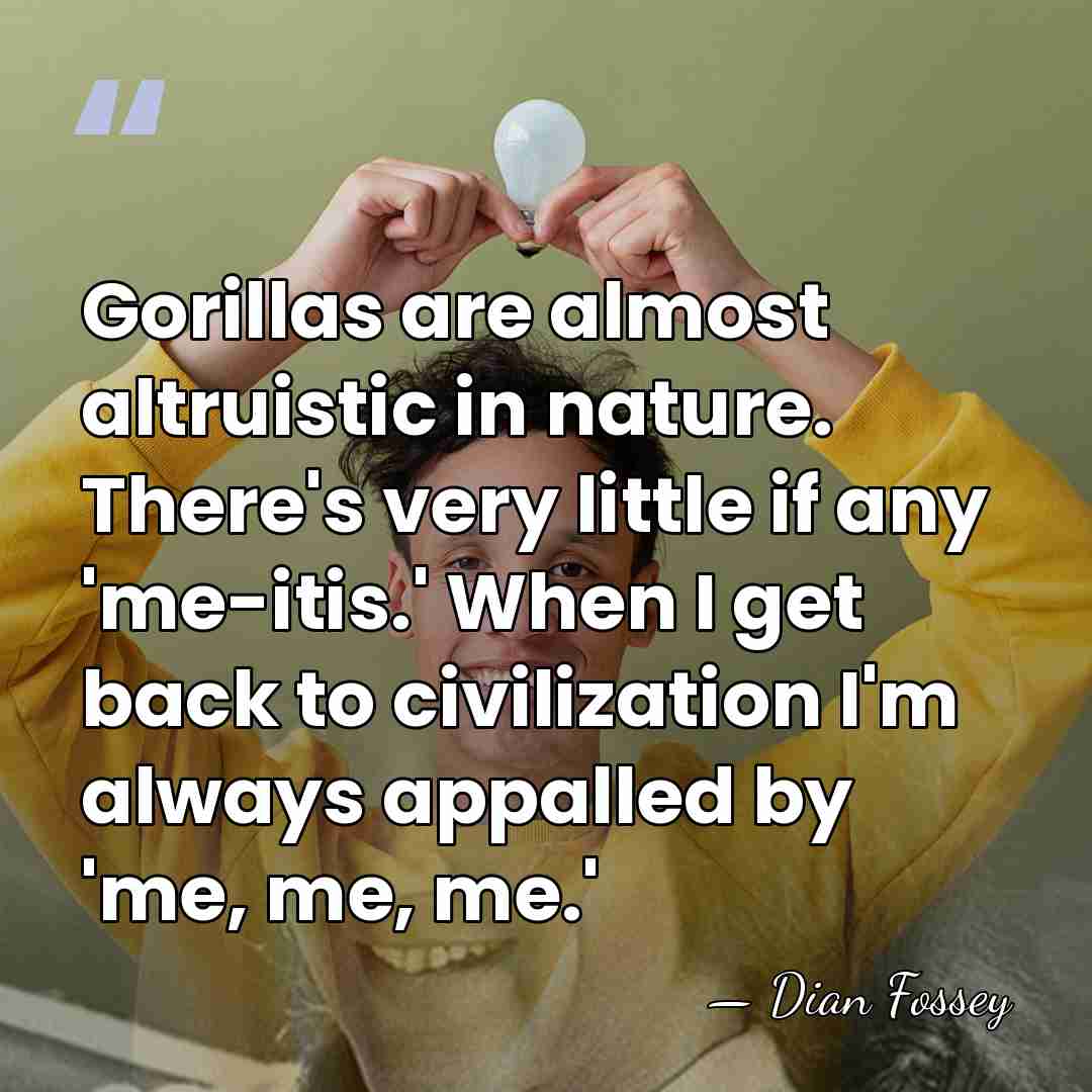 Gorillas are almost altruistic in nature. There's very little if any 'me-itis.'&hellip; - Dian Fossey
