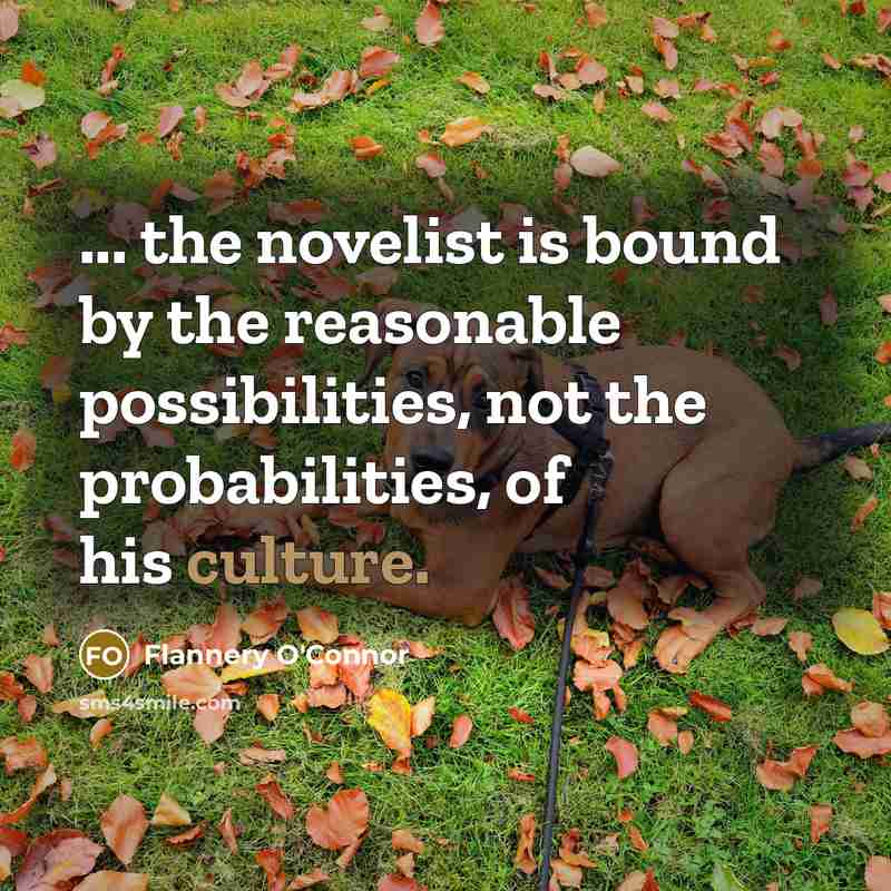 “... the novelist is bound by the reasonable possibilities, not…” quote by Flannery O'Connor