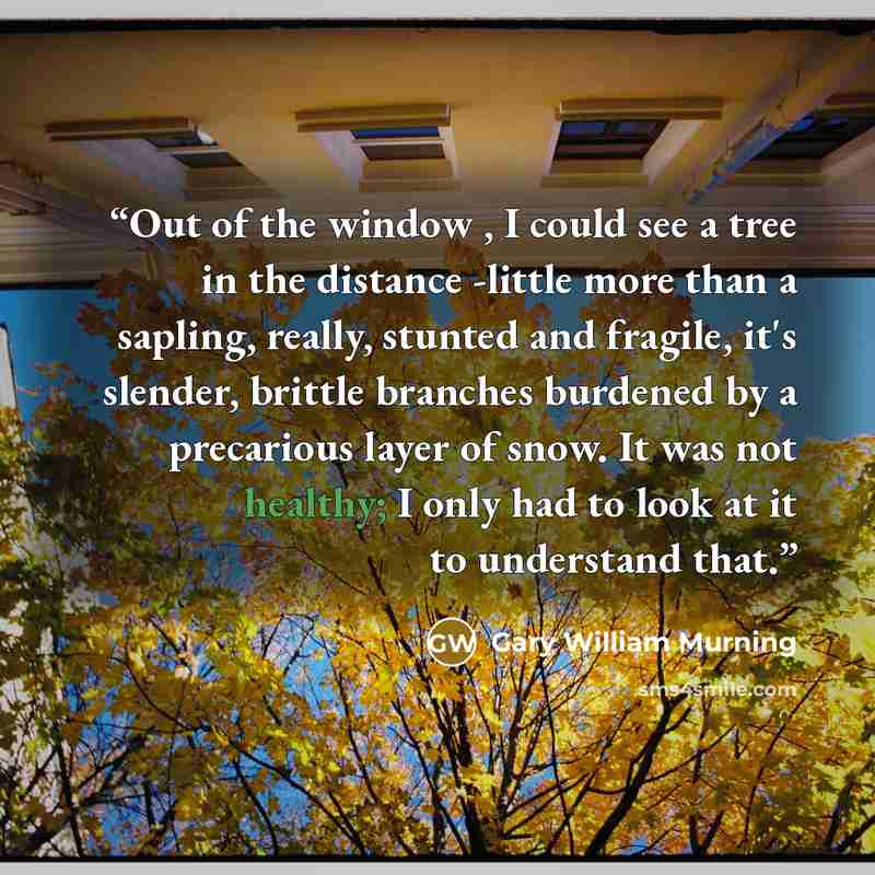 “Out of the window , I could see a tree in the distance -little more than a sapling, really, stunted and fragile, it's slender, brittle branches burdened by a precarious layer of snow. It was not healthy; I only had to look at it to understand that.” quote by Gary William Murning