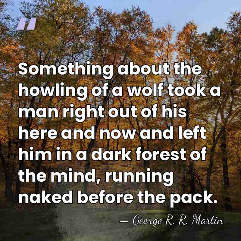 Something about the howling of a wolf took a man right out&hellip; - George R. R. Martin