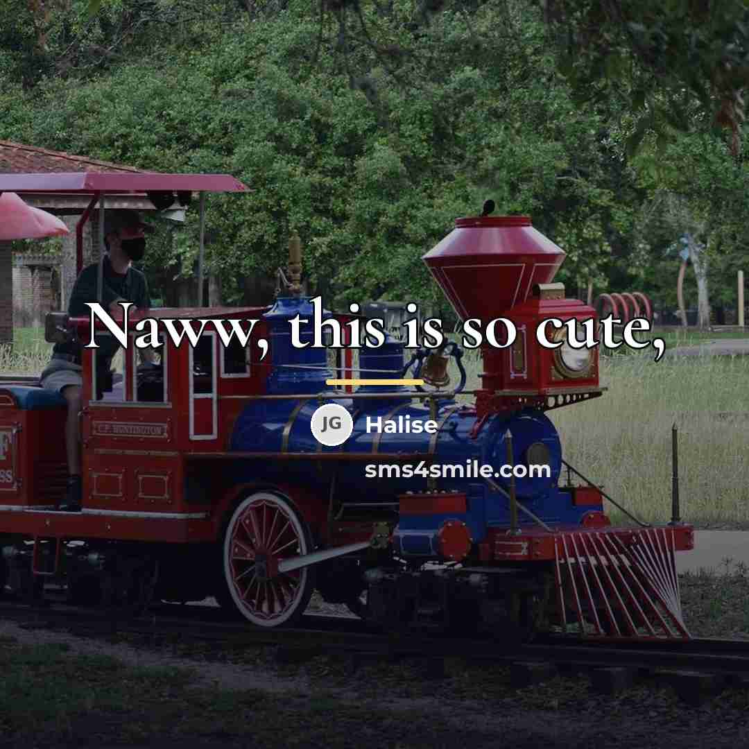 “Naww, this is so cute,…” quote by Halise