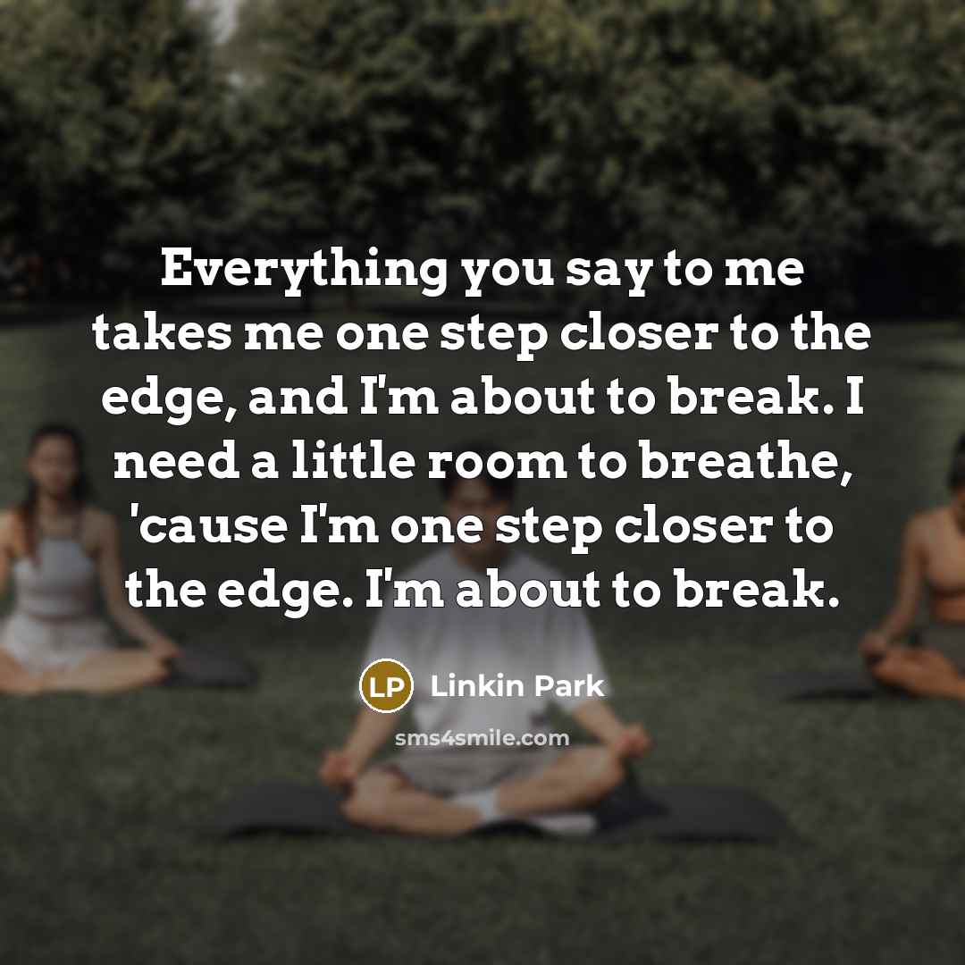 “Everything you say to me takes me one step closer to the edge, and I'm about to break. I need a little room to breathe, 'cause I'm one step closer to the edge. I'm about to break.” quote by Linkin Park