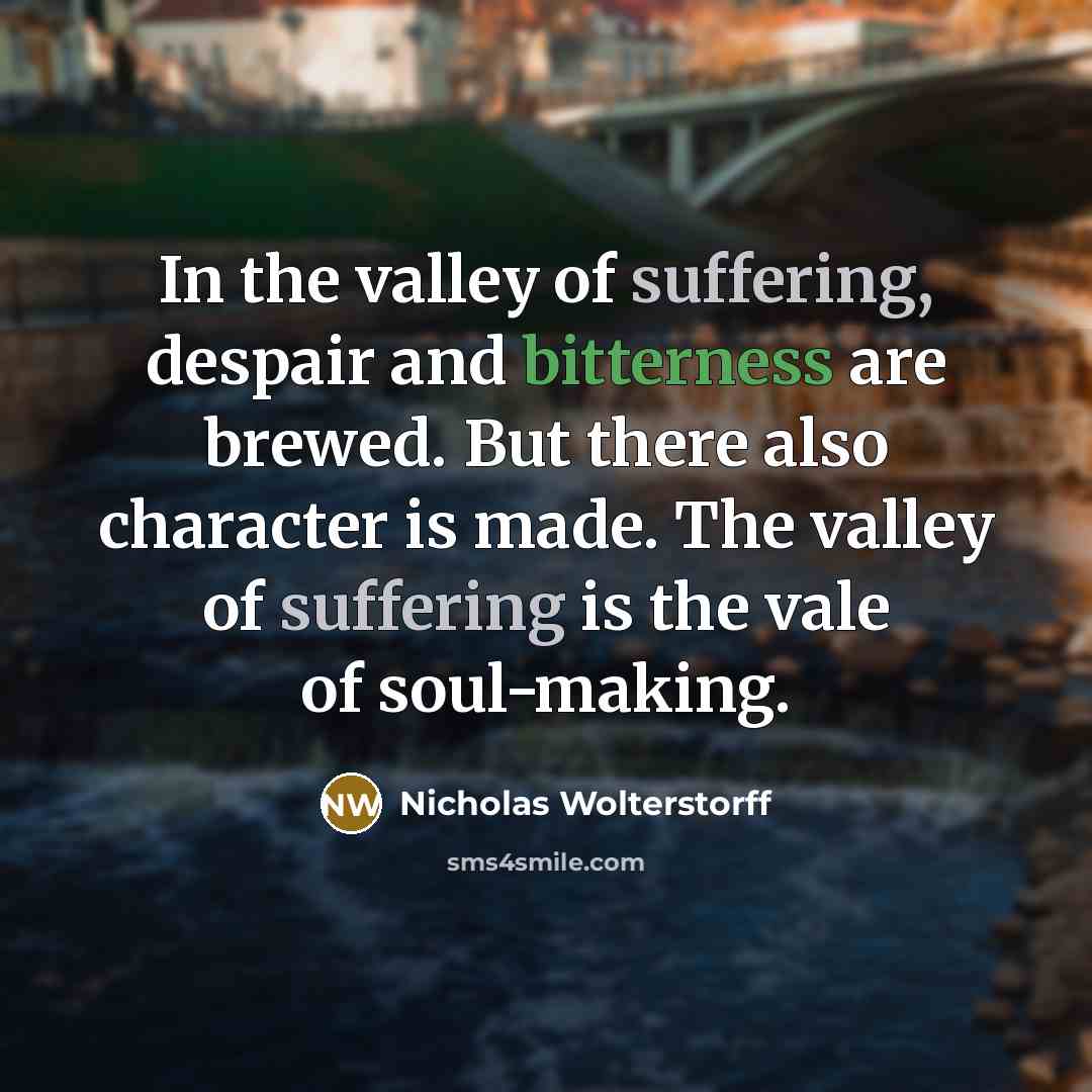 “In the valley of suffering, despair and bitterness are brewed.…” quote by Nicholas Wolterstorff