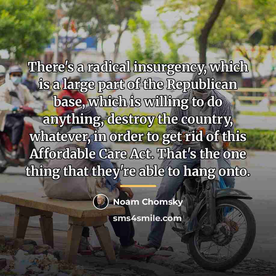 “There's a radical insurgency, which is a large part of…” quote by Noam Chomsky