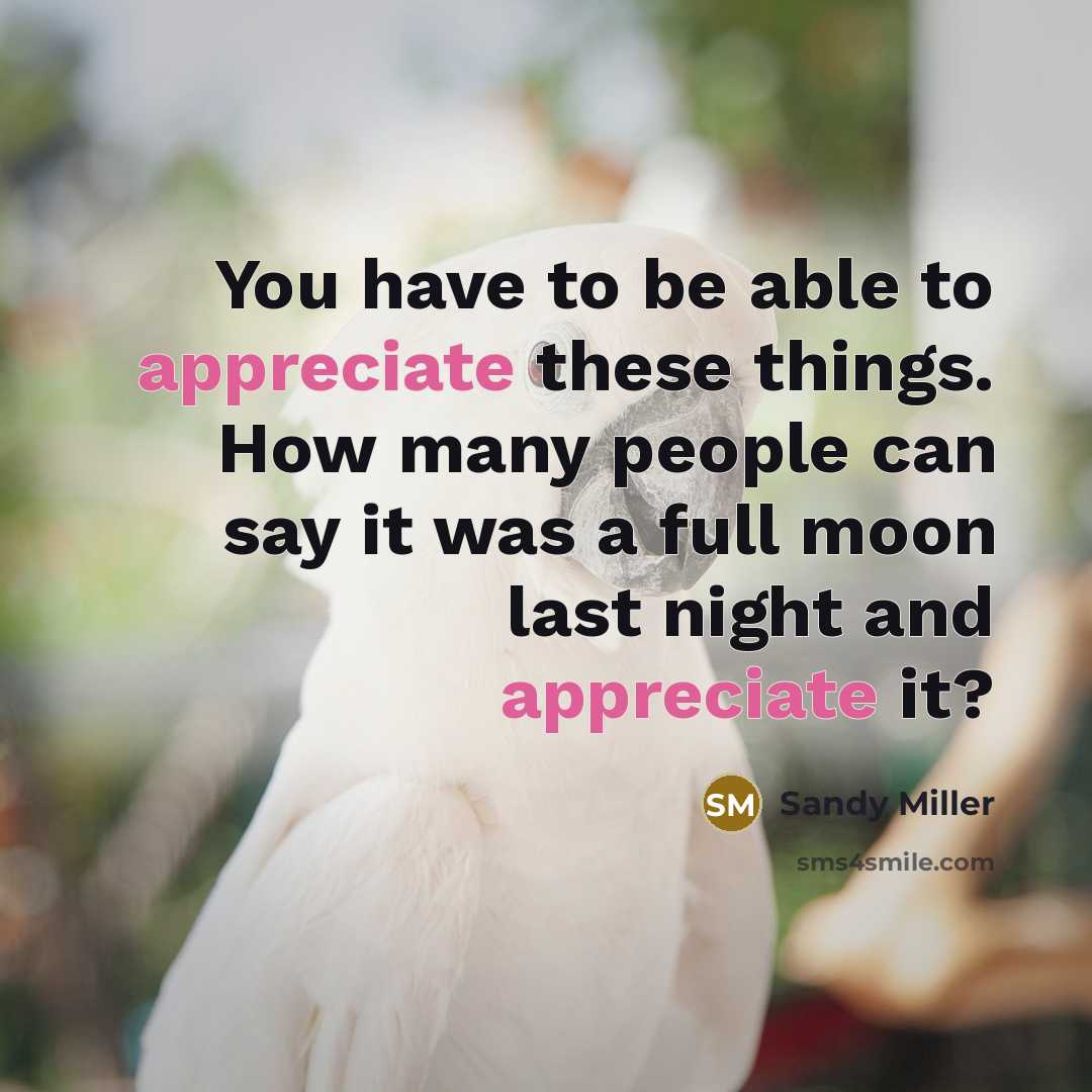 “You have to be able to appreciate these things. How many people can say it was a full moon last night and appreciate it?” quote by Sandy Miller