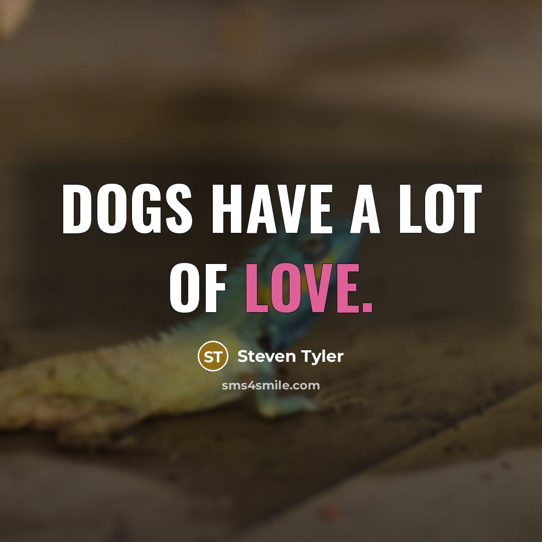 “Dogs have a lot of love.” quote by Steven Tyler