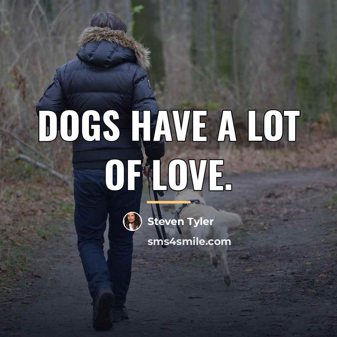 “Dogs have a lot of love.…” quote by Steven Tyler