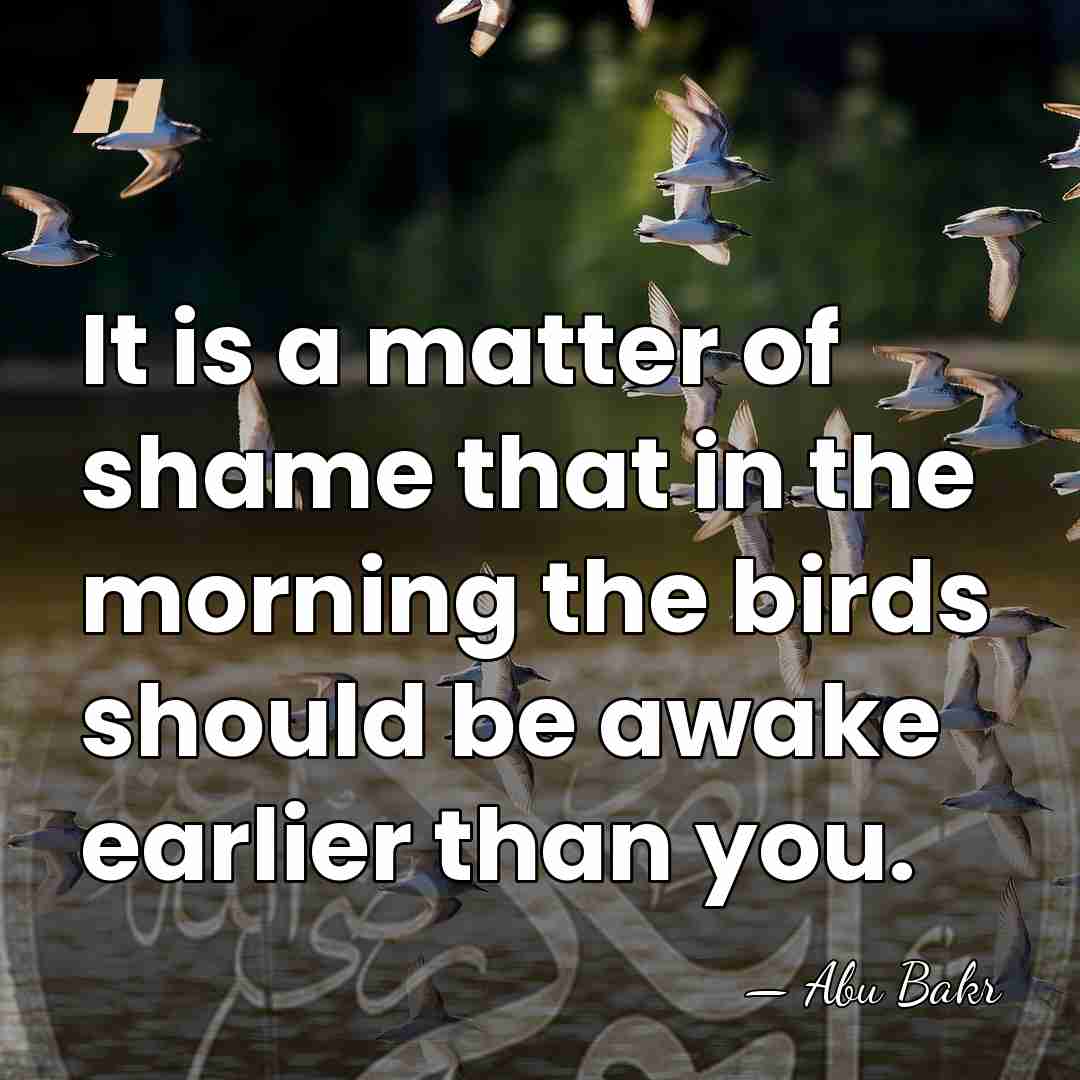 It is a matter of shame that in the morning the birds&hellip; - Abu Bakr