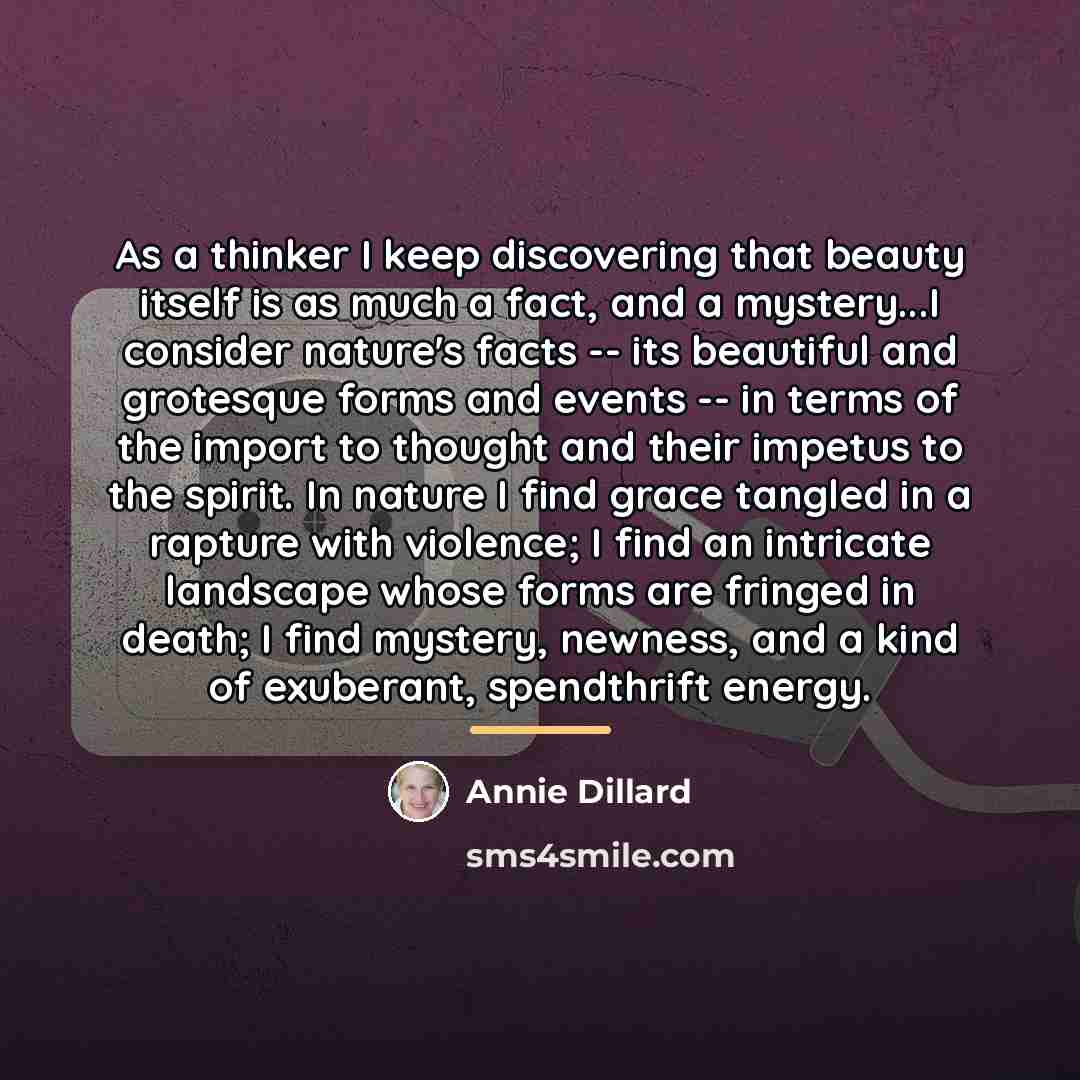 “As a thinker I keep discovering that beauty itself is…” quote by Annie Dillard