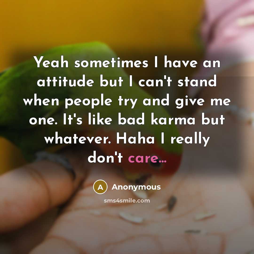 “Yeah sometimes I have an attitude but I can't stand when people try and give me one. It's like bad karma but whatever. Haha I really don't care...” quote by Anonymous