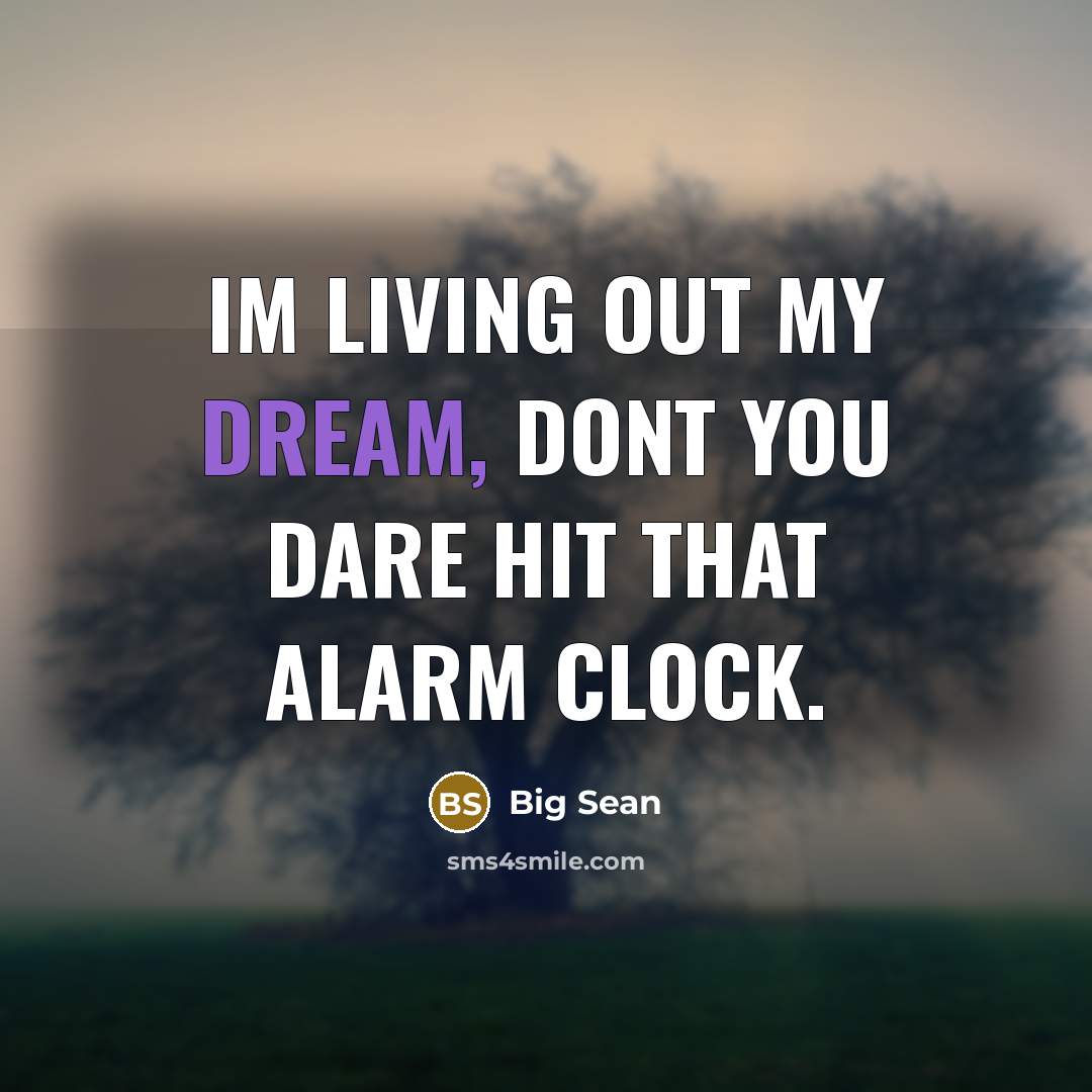 “Im living out my dream, dont you dare hit that…” quote by Big Sean