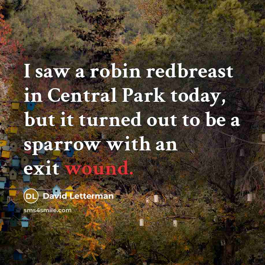 “I saw a robin redbreast in Central Park today, but…” quote by David Letterman