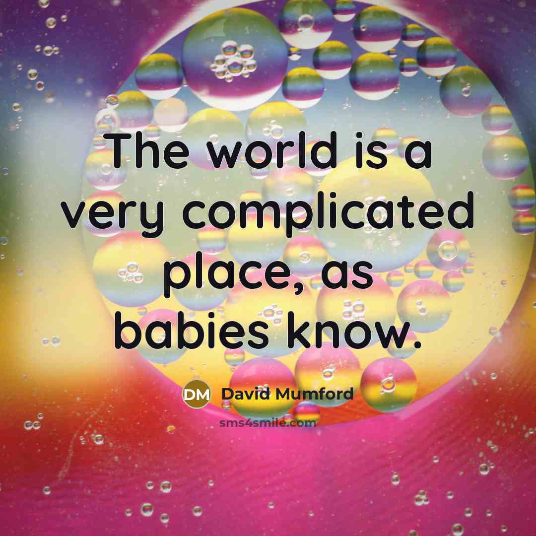 “The world is a very complicated place, as babies know.…” quote by David Mumford
