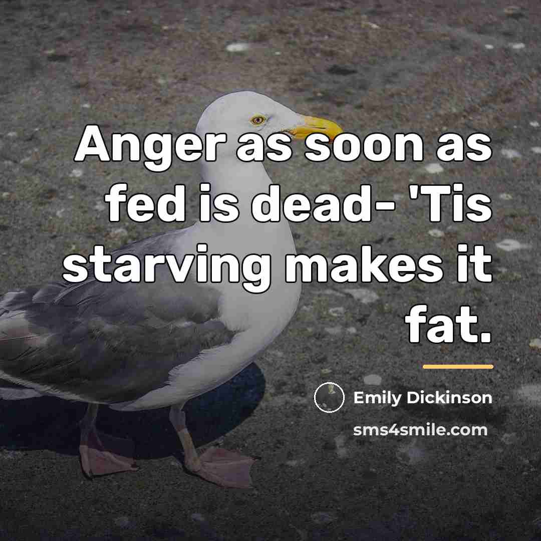 “Anger as soon as fed is dead- 'Tis starving makes…” quote by Emily Dickinson