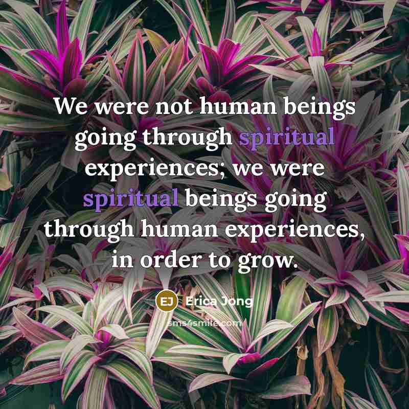 “We were not human beings going through spiritual experiences; we…” quote by Erica Jong
