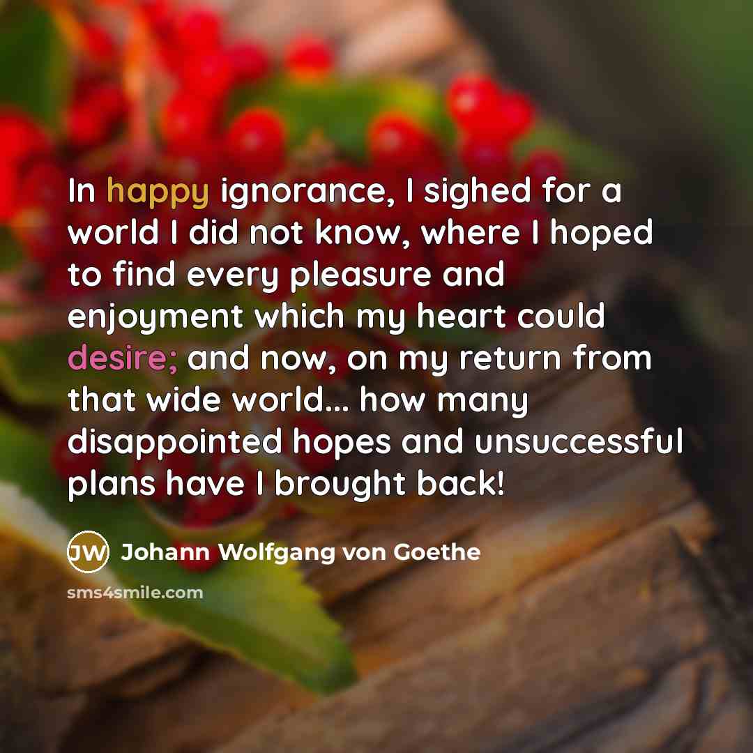 “In happy ignorance, I sighed for a world I did…” quote by Johann Wolfgang von Goethe