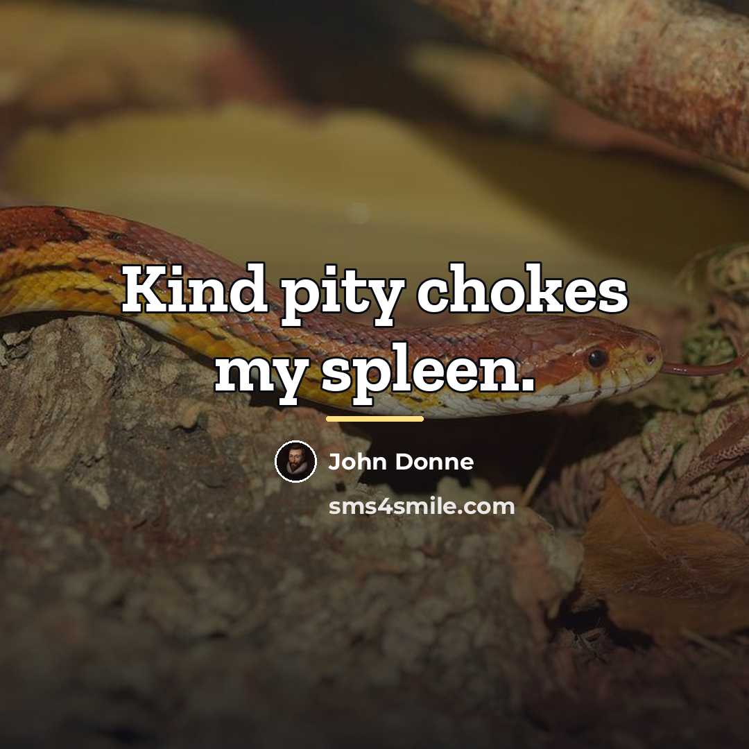 “Kind pity chokes my spleen.…” quote by John Donne